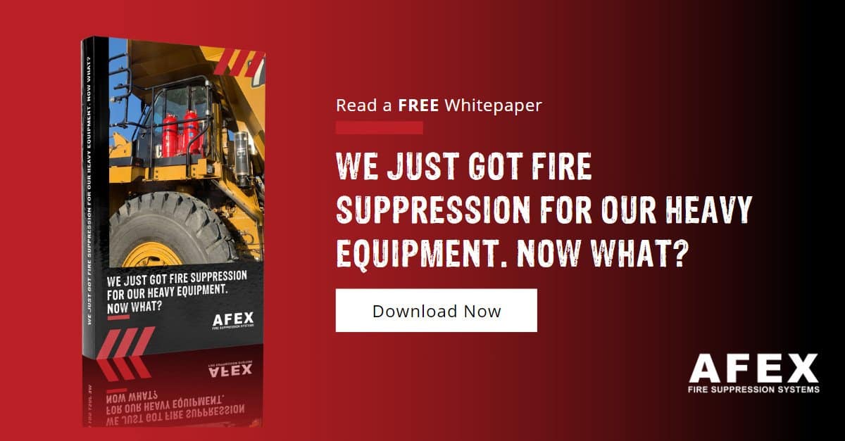 2023-Whitepaper-FSS-Now-What-Download-banner