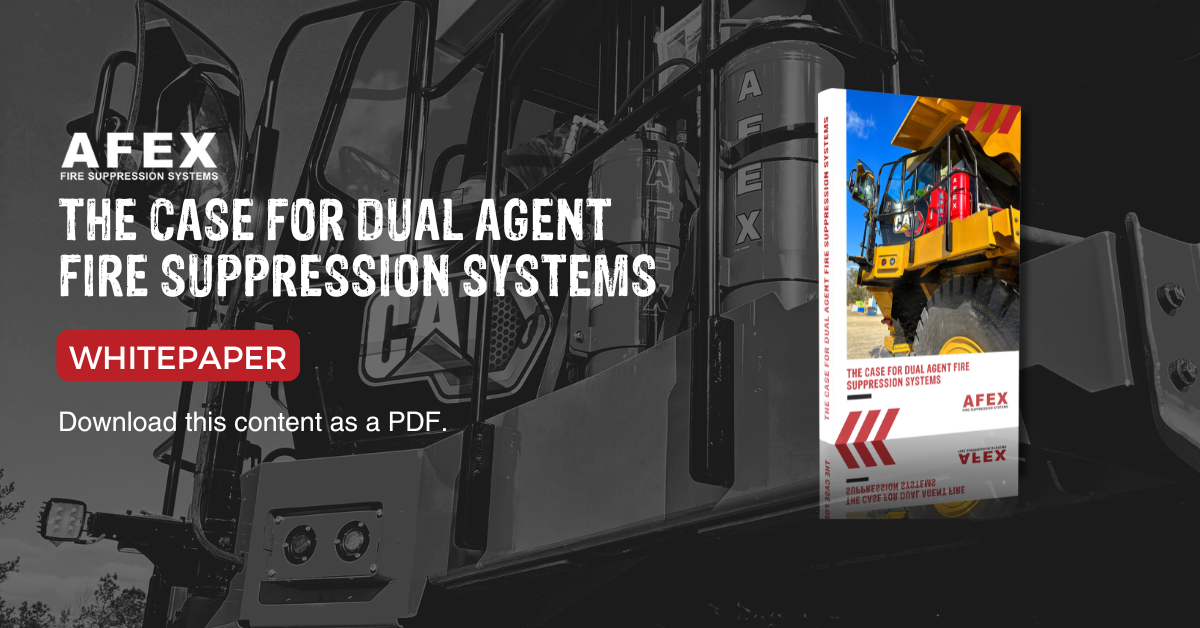 Whitepaper - Dual Agent FSS
